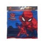Spiderman Braga De Cuello 