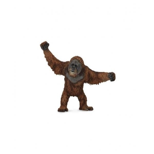 Orangutan -L- 88730 Collecta