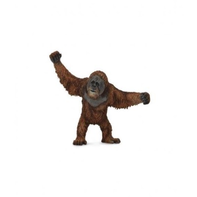 Orangutan -L- 88730 Collecta