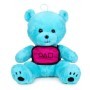 Oso Azul-Squid Game Teddy Bear 20Cm Display