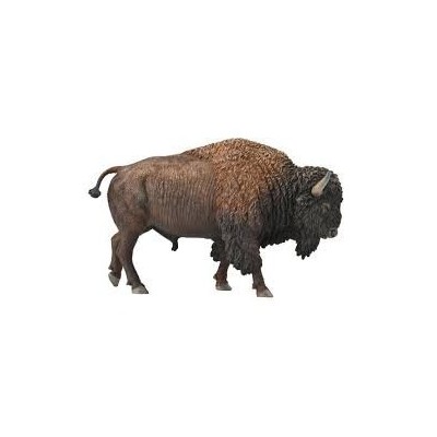 BISONTE AMERICANO - XL - 88968 COLLECTA