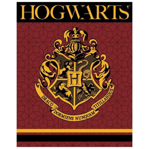 Harry Potter Manta Premium Coralina Hogwarts 150 X 120 Cm