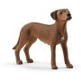 Schleich - Rhodesian Ridgeback (13895)