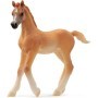 Schleich 13984 Potro Árabe, A Partir De 5 Años, Horse Club - Figura, 2 X 8 X 8 Cm